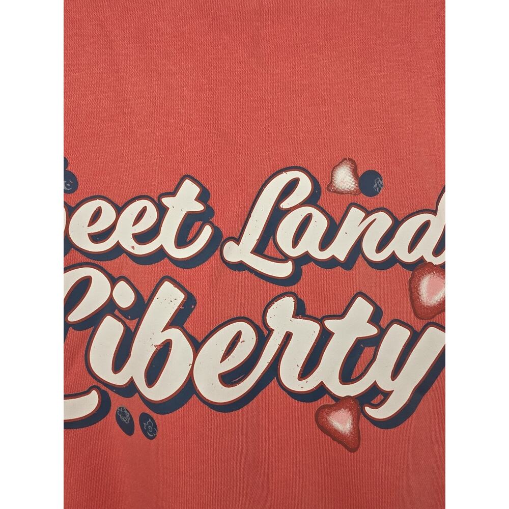 Living Fully Co. by Mallory Ervin Patriotic Flag Sweatshirt Size Medium - Picture 9 of 14